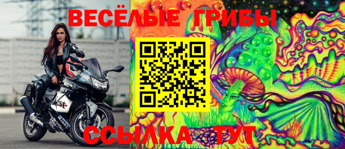 Минусинск  Галлюциногенные грибы MAGIC MUSHROOMS  Вход с VPN 