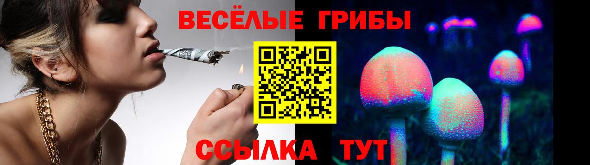 Псилоцибиновые грибы Magic Shrooms Минусинск